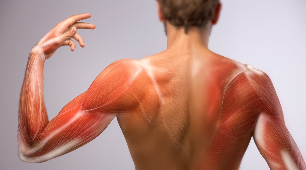 Muscle Soreness – What May Cause It and How to Avoid It - Vintank